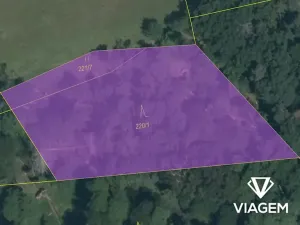Prodej podílu lesa, Vrchotovy Janovice, 515 m2