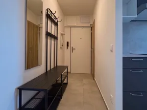 Pronájem bytu 2+1, Břeclav, Slovácká, 60 m2