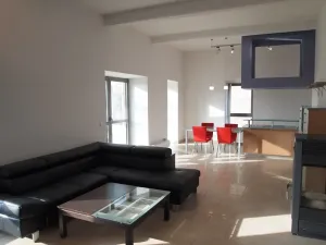 Pronájem bytu 3+kk, Brno, Zábrdovická, 148 m2