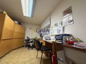 Prodej obchodního prostoru, Jemnice, Tyršova, 481 m2