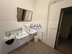 Prodej obchodního prostoru, Jemnice, Tyršova, 481 m2