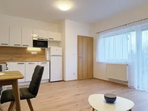 Pronájem rodinného domu, Brno, Pod Mniší horou, 61 m2