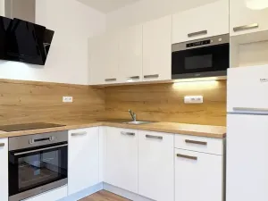 Pronájem rodinného domu, Brno, Pod Mniší horou, 61 m2