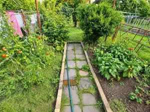 Prodej rodinného domu, Chomutov, Čechova, 120 m2
