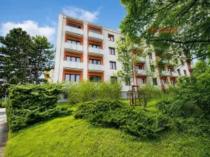Prodej bytu 2+1, Brno, Družstevní, 51 m2
