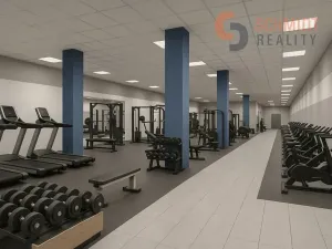 Pronájem obchodního prostoru, Hodonín, Národní třída, 506 m2