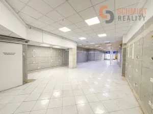 Pronájem obchodního prostoru, Hodonín, Národní třída, 506 m2