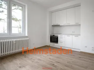 Pronájem bytu 1+kk, Karviná - Nové Město, Janského, 21 m2