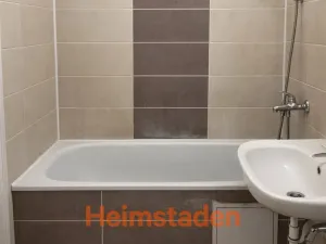 Pronájem bytu 1+1, Orlová - Lutyně, Masarykova třída, 51 m2