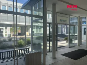 Pronájem obchodního prostoru, Most, Topolová, 48 m2