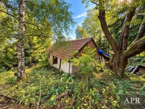 Prodej chalupy, Lopeník, 41 m2