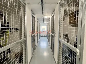 Pronájem bytu 1+kk, Hustopeče, Husova, 37 m2