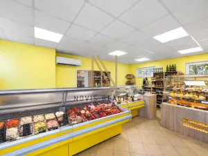 Prodej obchodního prostoru, Nezvěstice, 103 m2
