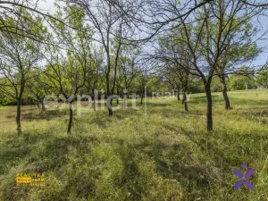 Prodej rodinného domu, Uherský Brod - Újezdec, Kříby, 129 m2