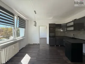 Prodej bytu 2+1, Bílina - Teplické Předměstí, Sídliště Za Chlumem, 52 m2