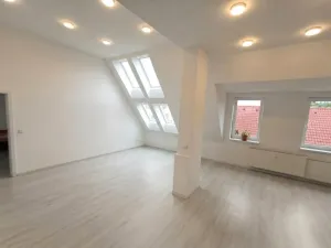 Pronájem bytu 3+kk, Olešná, 102 m2
