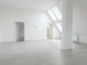 Pronájem bytu 3+kk, Olešná, 102 m2