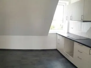 Pronájem bytu 3+kk, Olešná, 102 m2