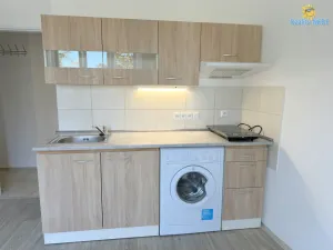 Pronájem bytu 1+kk, Praha - Michle, Hadovitá, 24 m2