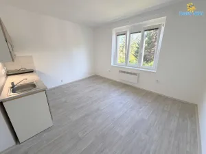 Pronájem bytu 1+kk, Praha - Michle, Hadovitá, 24 m2