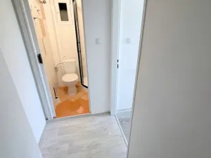 Pronájem bytu 1+kk, Praha - Michle, Hadovitá, 24 m2