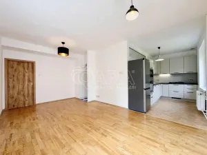Pronájem bytu 2+kk, Praha - Hloubětín, Zelenečská, 52 m2