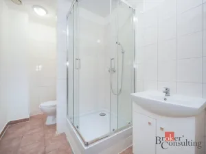 Pronájem bytu 2+kk, Mlékojedy, 52 m2