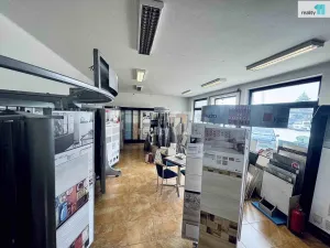 Prodej obchodního prostoru, Chlumčany, U Keramičky, 168 m2