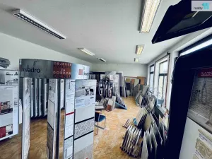 Prodej obchodního prostoru, Chlumčany, U Keramičky, 168 m2
