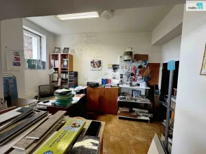 Prodej obchodního prostoru, Chlumčany, U Keramičky, 168 m2