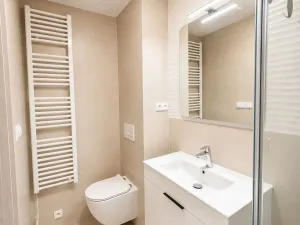 Pronájem bytu 2+kk, Břeclav, Břetislavova, 35 m2