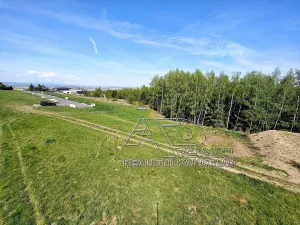 Prodej komerčního pozemku, Srubec, 550 m2