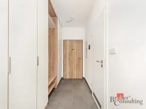 Pronájem bytu 1+kk, Plzeň - Jižní Předměstí, Železná, 35 m2