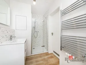 Pronájem bytu 1+kk, Plzeň - Jižní Předměstí, Železná, 35 m2