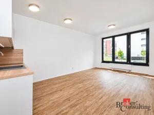 Pronájem bytu 1+kk, Plzeň - Jižní Předměstí, Železná, 30 m2