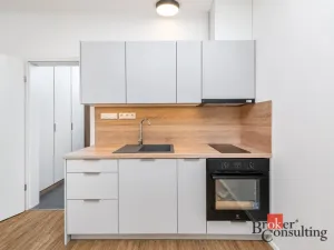 Pronájem bytu 1+kk, Plzeň - Jižní Předměstí, Železná, 30 m2