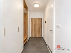 Pronájem bytu 1+kk, Plzeň - Jižní Předměstí, Železná, 30 m2