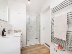 Pronájem bytu 1+kk, Plzeň - Jižní Předměstí, Železná, 30 m2