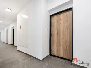 Pronájem bytu 1+kk, Plzeň - Jižní Předměstí, Železná, 30 m2