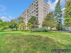 Pronájem bytu 4+1, Hradec Králové, Hradecká, 110 m2