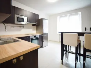 Pronájem bytu 1+1, Brno - Trnitá, Křenová, 48 m2