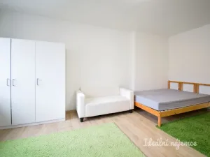 Pronájem bytu 1+1, Brno - Trnitá, Křenová, 48 m2