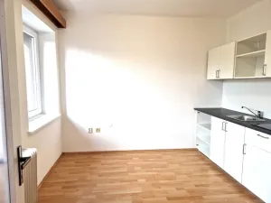 Pronájem bytu 2+kk, Olešná, 40 m2