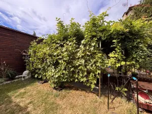 Prodej bytu 2+1, Prostějov, Husovo nám., 76 m2