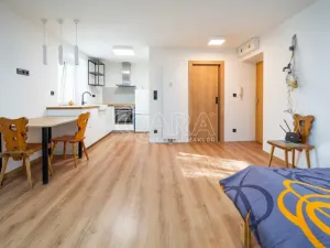 Prodej bytu 1+kk, Neratovice, Školní, 30 m2