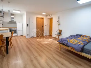 Prodej bytu 1+kk, Neratovice, Školní, 30 m2
