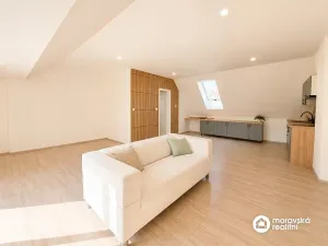 Prodej bytu 1+kk, Brno, Viniční, 51 m2