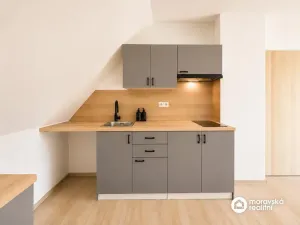 Prodej bytu 1+kk, Brno, Viniční, 51 m2