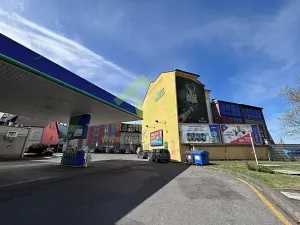 Prodej rodinného domu, Plzeň, Lindauerova, 776 m2
