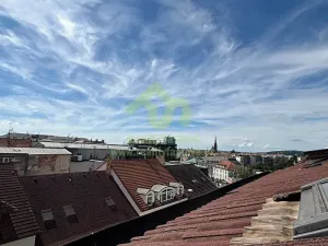 Prodej rodinného domu, Plzeň, Lindauerova, 776 m2
